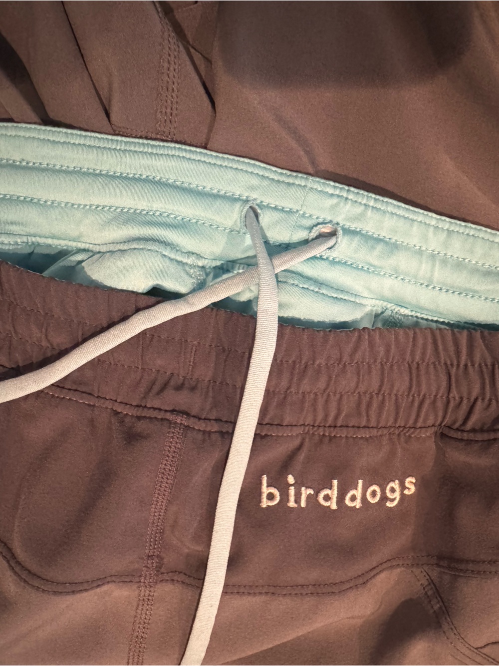 Birddogs Teal-Blue Lined Athletic Shorts - Picture 6 of 6